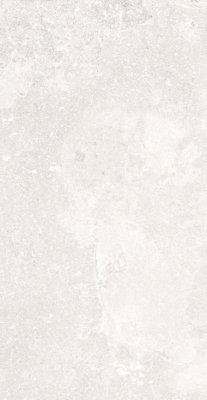 Blueslate Tile 12" x 24" - White