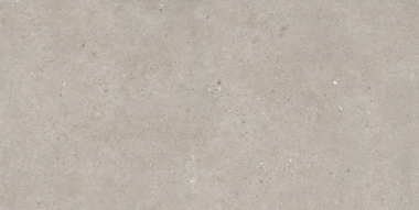 Silver Grain Tile 24" x 48" - Grey