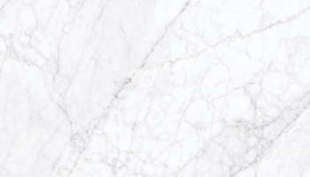 Carrara Fogg Tile 24