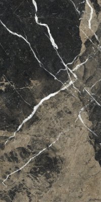 Marmi Alpi Marble Look Tile 12" x 24" - Calacatta Black