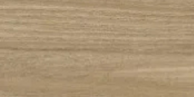 Poeme Concept Wood Look Tile 24" x 48" - Brandy