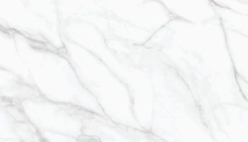 Calacatta Livid Marble Look Tile 24