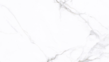 Maximus Marble Look Tile 48