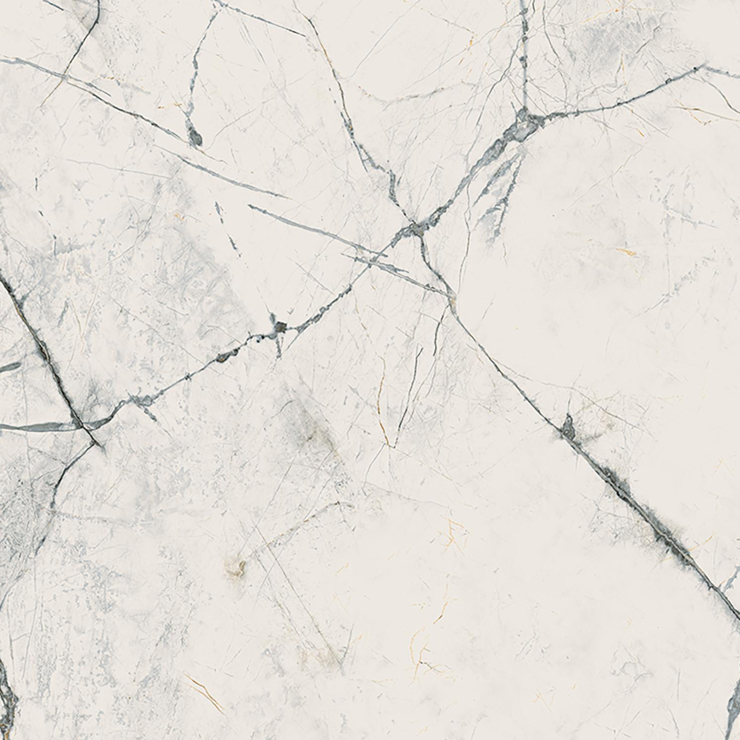 imola-the-room-marble-look-tile-24-x-48-invisable-white