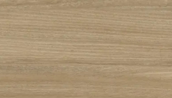 Poeme Concept Wood Look Tile 24