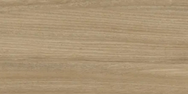 Poeme Concept Wood Look Tile 24" x 48" - Siena