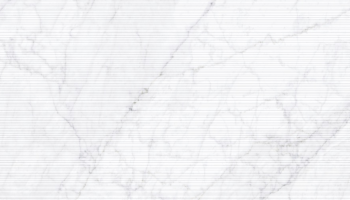 Carrara Fogg Tile 24