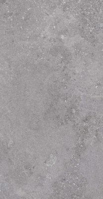 Blueslate Tile 24" x 48" - Grey