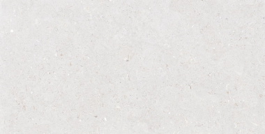 Fossil Impatto Tile 24" x 48" - Bianco