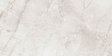 Eternity Marble Look Tile 24" x 48" - Elegen Bianco Polished