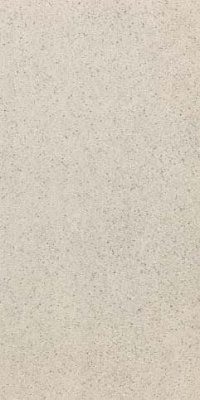 Techstone Tile 24" x 48" - StoneWhite