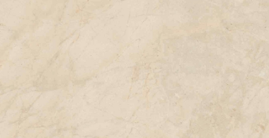 Biotech Tile 24" x 48" - Crema Stone