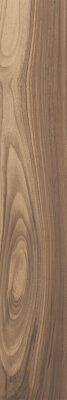 Hike Wood Look Porcelain Tile 8" x 47" - Lumber