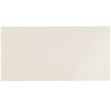 ArchTech Tile "Polished" 12" x 24" - Bianco