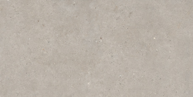 Silver Grain Tile 24" x 48" - Grey