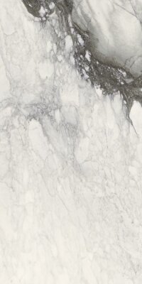 Etoile Marble Look Tile 24" x 48" - Renoir Glossy