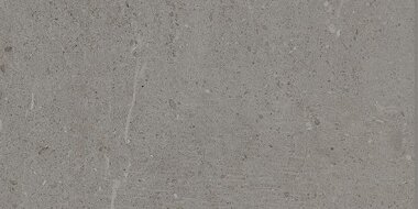 Uptown Tile Semi-Polished 12" x 24" - Hamilton