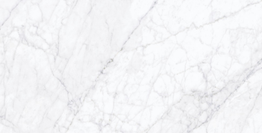 Carrara Fogg Tile 24" x 48" - Carrara Fogg Matte