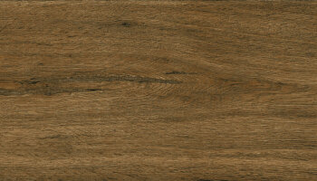 Wild Wood Look Porcelain Tile 9