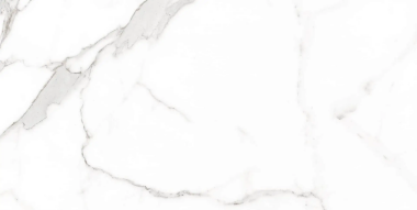 Palatina Tile 12" x 24" - Blanco