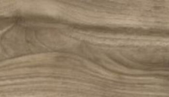 Rain Forest Wood Look Porcelain Tile 8.5