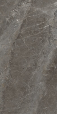 Rowan Marble Look Tile 24" x 48" - Gris