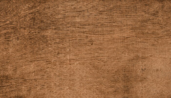 Wood Trend Wood Look Porcelain Tile 8