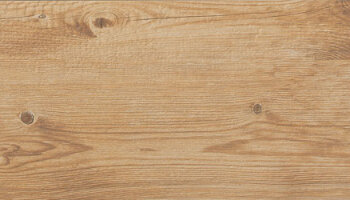 Larix Wood Look Porcelain Tile 10