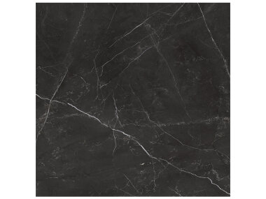 La Marca Marble Look Tile 24" x 24" - Nero Venato Polished