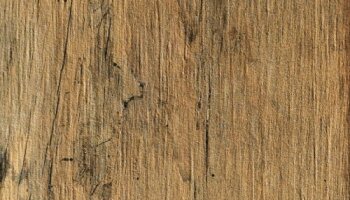 Bio-Recover Wood Look Porcelain Tile 8