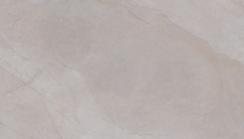 Maximus Marble Look Tile 48