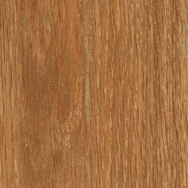 Arborea Wood Look Porcelain Tile 8" x 48" - Danae