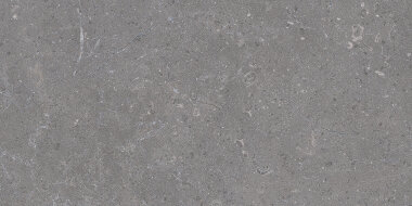 Madison Tile 12" x 24" - Anthracite