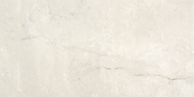 Coliseum Tile 12" x 24" - Grey