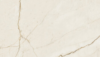 Oro Marble Look Tile 24