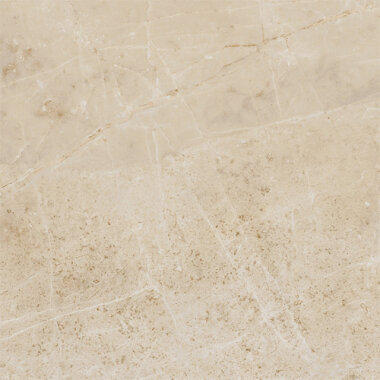 Emperor Marble Look Tile 18" x 18" - Caesar