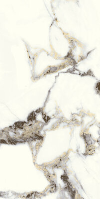 Splendid Marble Look Tile 12" x 24" - Eternal Beauty