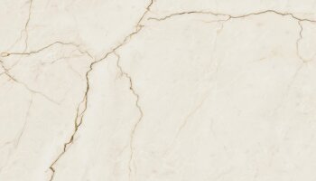 Oro Marble Look Tile 24