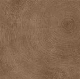 W Age Wood Look Porcelain Tile 6" x 24" - Ring