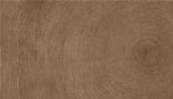 W Age Wood Look Porcelain Tile 6