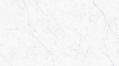 Carrara Marble Look Tile 24" x 48" - Carrara