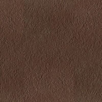 Micron 2.0 Tile 12" x 24" - Brown