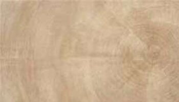 W Age Wood Look Porcelain Tile 6