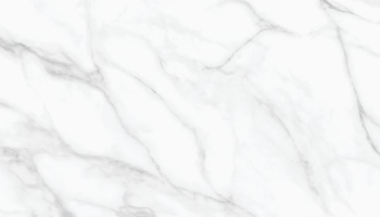 Calacatta Livid Marble Look Tile 24