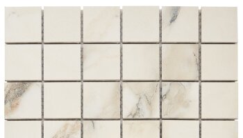 Lithe Mosaic Marble Look Tile 11.81