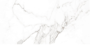 Palatina Marble Look Tile 12" x 24" - Palatina