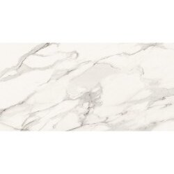 Trumarmi Polished Marble Look Tile 24" x 48" - Extra