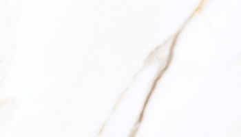 Calacatta Borghini Next Marble Look Tile 24