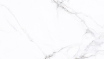 Maximus Marble Look Tile 48