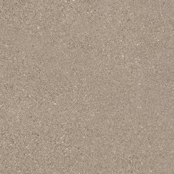 Grain Stone Tile 12" x 24" - Taupe Fine Grain